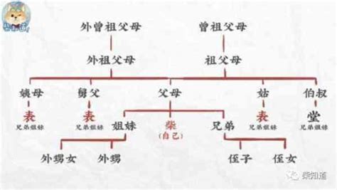 表 堂 怎麼分|堂兄弟、表姐妹，這類稱呼你會用錯嗎？知道分別代表哪些親戚。